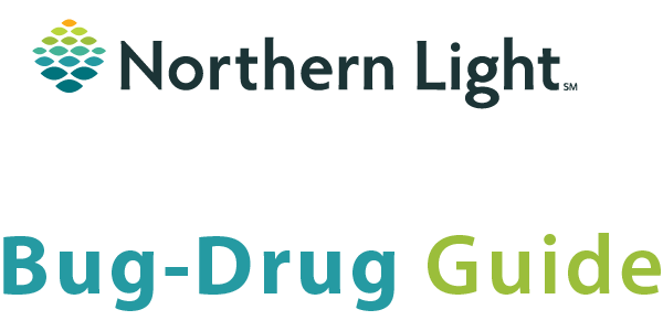 Northern Light Health